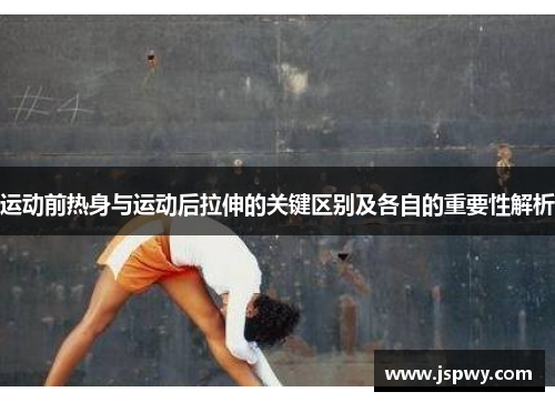 运动前热身与运动后拉伸的关键区别及各自的重要性解析
